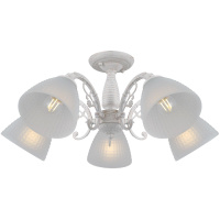 Люстра на штанге Illumico IL0232-5CSQ-24 SS SPICA