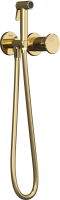 Гигиенический душ Teska Arte Tera T5537 со смесителем, С ВНУТРЕННЕЙ ЧАСТЬЮ, золото