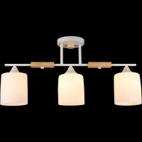 Потолочная люстра Reluce 04602-0.3-03