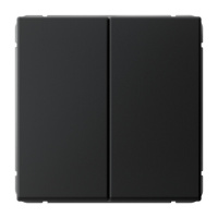 Переключатель 2-клавишный Systeme Electric ARTGALLERY, скрытый монтаж, карбон, GAL001065