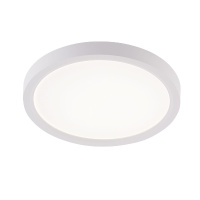Потолочный светильник Natali Kovaltseva Plain LED LAMPS 81113/1C
