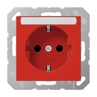 Розетка Schuko с полем для надписи Jung A1520BFNART