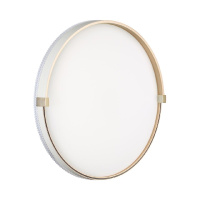 Настенно-потолочный светильник Sonex Olidi white 7646/DL