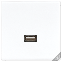 Розетка USB Jung MALS1122