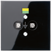Розетка штепсельная для выравнивания потенциалов Jung LS965-2SW