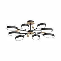 Люстра на штанге LED4U L3221-850 BK