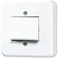 Переключатель одноклавишный Jung 306A-24