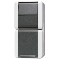 Розетка + выключатель Jung 871W