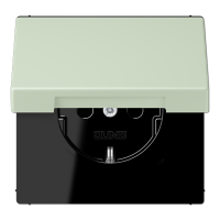 Розетка 2K+З с крышкой Jung LC1520BFKL218