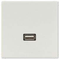 Розетка USB Jung MALS1122LG