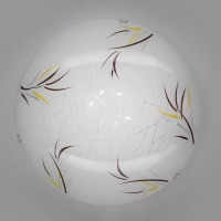 Настенный светильник Citilux Ива CL917009