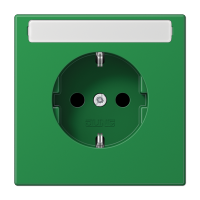 Розетка Schuko с полем для надписи Jung LS1520BFNAGN