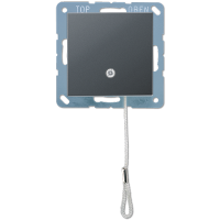 Выключатель шнуровой Jung A506BFNUZANM