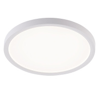 Потолочный светильник Natali Kovaltseva Plain LED LAMPS 81113/2C