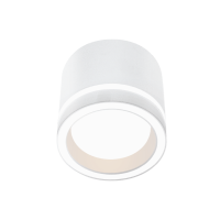 Накладной светильник Wolta Luce WSL-GX53/06W