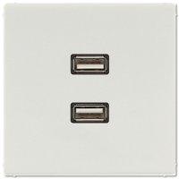 Розетка USB Jung MALS1153LG