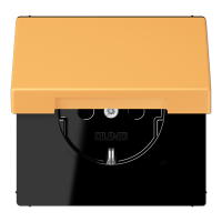 Розетка 2K+З с крышкой Jung LC1520BFKL254