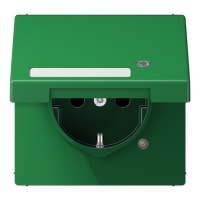 Розетка Schuko с крышкой Jung LS1520NAKLKOGN