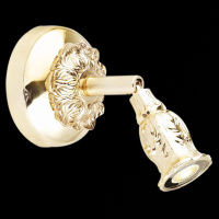 Спот Illumico IL8420-1WA-61 FGD