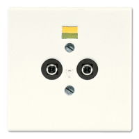 Розетка штепсельная для выравнивания потенциалов Jung LS965-2