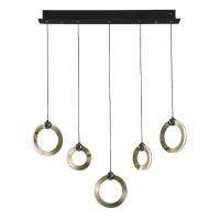 Подвесной светильник Lumien Hall Livin LH8028/5P-BK-SGD-PBK