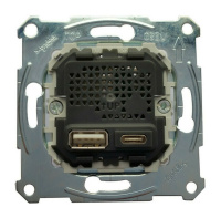 Механизм розетки 2xUSB Schneider Electric, скрытый монтаж, MTN4366-0110