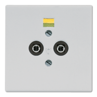 Розетка штепсельная для выравнивания потенциалов Jung LS965-2LG