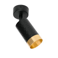 Спот Wolta Cella WSL-GU10/S10BG