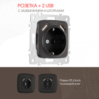 Розетка с заземлением, шторками + 2 USB Arte Milano 205.47-1.black