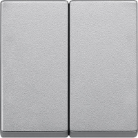 Клавиша двойная Schneider Electric Merten System M MTN433560