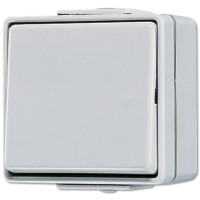 Выключатель одноклавишный Jung 606W