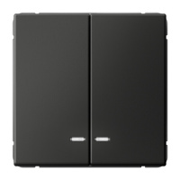 Выключатель 2-клавишный Systeme Electric ARTGALLERY с подсветкой, скрытый монтаж, базальт, GAL001453