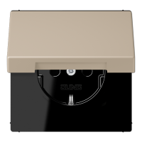 Розетка 2K+З с крышкой Jung LC1520BFKL243