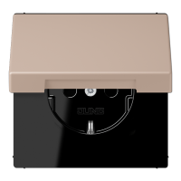 Розетка 2K+З с крышкой Jung LC1520BFKL240