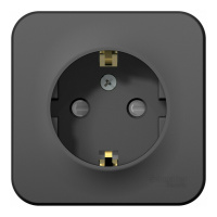 Розетка Systeme Electric BLANCA, открытый монтаж, с заземлением, со шторками, антрацит, BLNRA011116