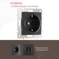 Розетка с заземлением и шторками Arte Milano 206.40-1.black