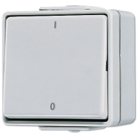 Выключатель двухполюсный Jung 602W