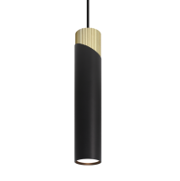 Подвесной светильник Wolta Dolce WSL-GU10/P06BG