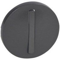 Лицевая панель Legrand Celiane выключателя одноклавишного графит 065201