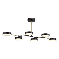 Потолочный светильник Evoluce Monta SLE6004-402-06
