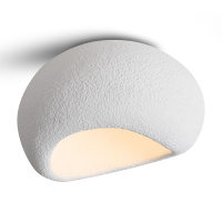 Потолочный светильник Freya Mound FR5428CL-01W