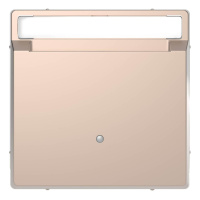 Выключатель карточный Schneider Electric Merten D-Life MTN3854-6051