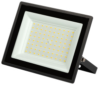 Прожектор Эра LPR-023-0-40K-070 Б0067744