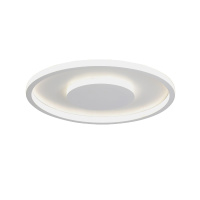 Потолочный светильник Vitaluce V3891-0/2PL