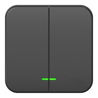 Выключатель 2-клавишный Systeme Electric BLANCA с подсветкой, открытый монтаж, антрацит, BLNVA105116