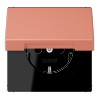 Розетка 2K+З с крышкой Jung LC1520BFKL233