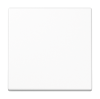 Клавиша Jung A590WW