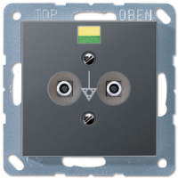 Розетка для выравнивания потенциалов Jung A565-2BFANM