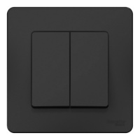 Переключатель 2-клавишный Systeme Electric BLANCA, скрытый монтаж, антрацит, BLNVS106606