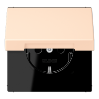 Розетка 2K+З с крышкой Jung LC1520BFKL238